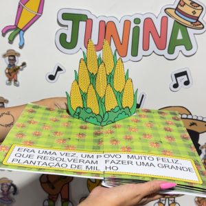 Livro Pop-up “Um Conto Junino”