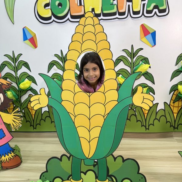 Festa da Colheita - Image 3